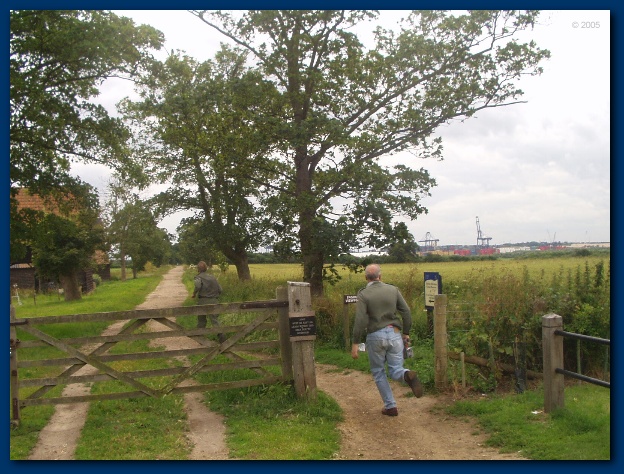 600x449 pixels (165K)